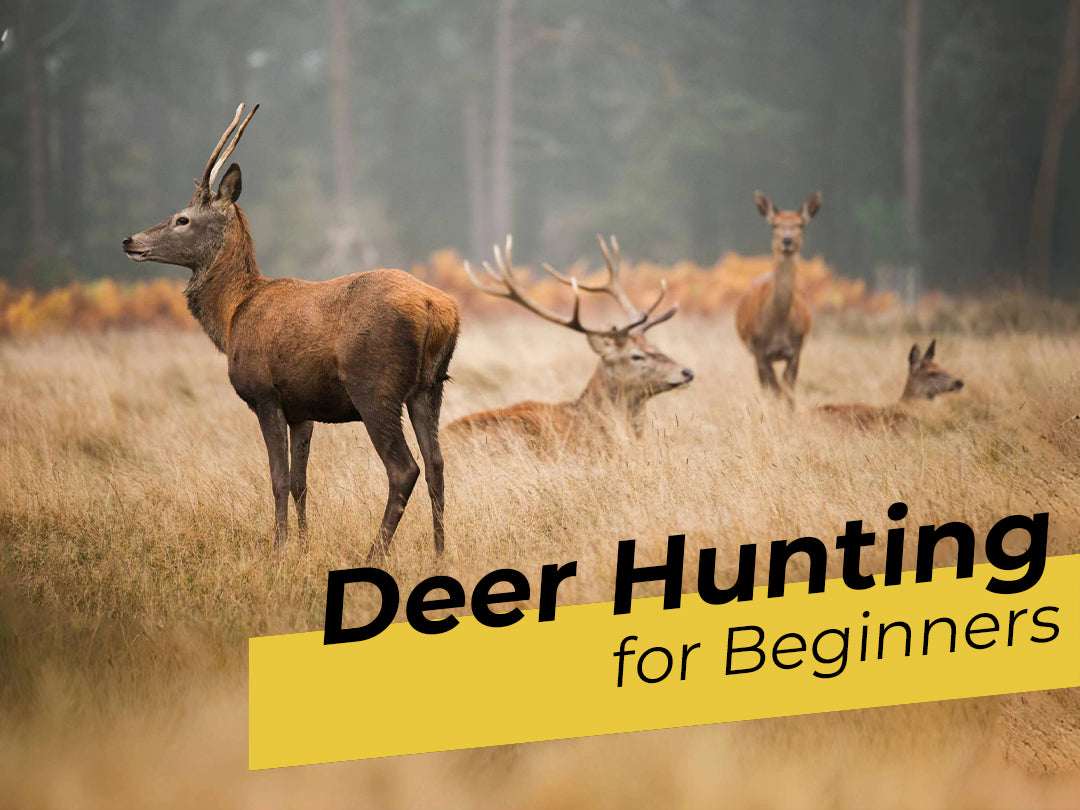 Ultimate Deer Hunting Guide for Beginners: Essential Tips and Gear
