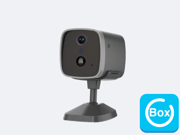 4G Mini Camera
